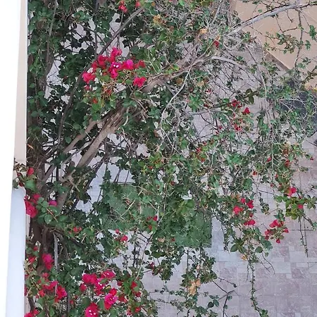 Ξενοδοχείο Dioni Αδελιανός Κάμπος